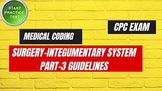 INTEGUMENTARY SYSTEM GUIDELINES AND PRACTICE QUESTIONS PART3  MEDICAL CODING [upl. by Aissatsan]