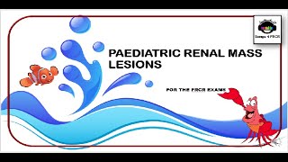 Paediatric Renal Mass Lesions for Radiology Exams [upl. by Leunamme329]