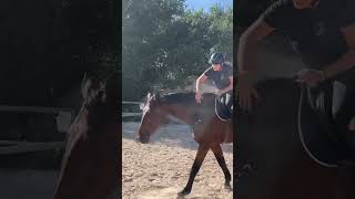 Première fois en cordelette equitation equestrian viralshorts cheval liberté drole horse [upl. by Yve]