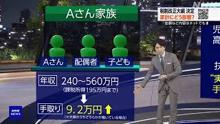 税制改正大綱を決定 所得税定額減税の制度設計など 自公両党 [upl. by Holle]