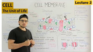 Cell membrane Fluid mosaic model [upl. by Arbmik13]