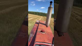 Raking straw e weed it’s a 766 black stripe [upl. by Thorncombe776]