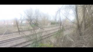 Bulwell bogs Walk about video [upl. by Dorrehs]