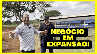 NEGÓCIO em EXPANSÃO com a CRIAÇÃO de GALINHAS para PRODUÇÃO de OVOS CAIPIRAS [upl. by Naoma]