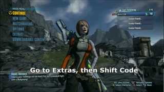 Borderlands 2  How To Use Shift Code On PS3 [upl. by Keriann]