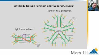 MICRO 111 Ch162 Antibody Structure Diversity and Response  Introductory Microbiology [upl. by Colwell]