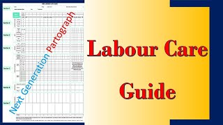 WHO Labour Care Guide  What is the Differences Between Partogram and Labour Care Guide [upl. by Phyl]