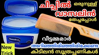 ഒരു തുള്ളി വാസലിൻ ചീപ്പിൽ തടവിയപ്പോൾ കിടിലൻ സൂത്രംവീട്ടമ്മമാർ മിസ്സ്‌ ആക്കല്ലേVaseline Tips [upl. by Case]