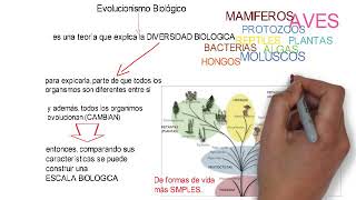 1 4 1 Principales teorías antropológicas Evolucionismo Antropológico [upl. by Tanney]