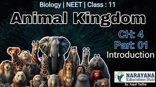 Animal Kingdom Class 11 Biology CH4 NCERT  Classification Of Animals Animated Video3D English L1 [upl. by Gibbs]