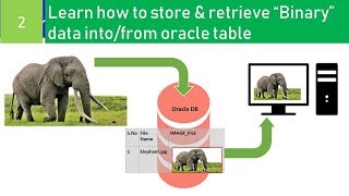 How To Save amp retrieve Image files intofrom database table using BLOB column [upl. by Itagaki]