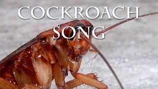 Cockroach Song [upl. by Hett111]