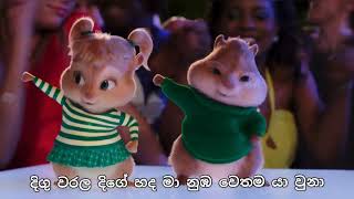 ලෙලෙනා  Lelena  Nilan Hettiarachchi song  Chipmunks amp Himabole version song with lyrics [upl. by Newcomb]