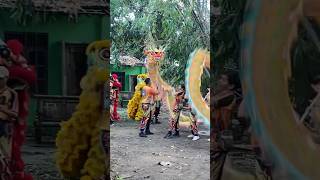 Naga Barongsai Atraksi barongsai barongsaijogja barongsai2024 [upl. by Ebag923]