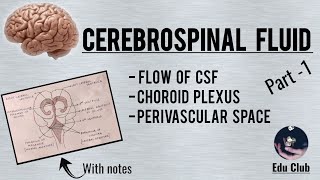 Cerebrospinal Fluid  Part 1 [upl. by Otanutrof]