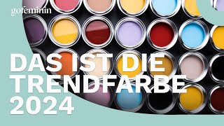 Laut Pantone Das ist die Trendfarbe 2024 [upl. by Tega638]