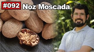 Autor da Própria Saúde  Noz Moscada Câncer colesterol diabetes bactericida [upl. by Vasilek579]