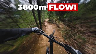 BESTER FLOWTRAIL in Tirol GEHEIMTIPP in Fieberbrunn [upl. by Yerdna217]