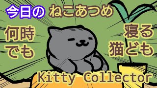 △【ねこあつめ】意地でも寝る猫ども  Kitty Collector  sqneko20240104 [upl. by Laroc]