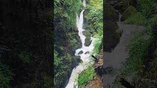 Stock Ghyll Force Waterfall asmr Ambleside Lake District UK waterfall asmr lakedistrict [upl. by Robertson]