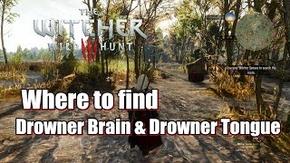 Where to Find Drowner Brain and Drowner Tongue in The Witcher 3 [upl. by Johanan]