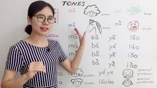 The Tones in Mandarin Chinese  Beginner Lesson 2  HSK 1 [upl. by Verney]