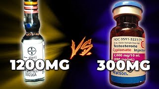 1200 MG Primobolan Vs 300 MG Testosterone  The Highest Dosage Ever quotWell Toleratedquot Clinically [upl. by Galven232]