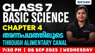 Class 7 Basic Science  Chapter 4  Through Alimentary Canal  അന്നപഥത്തിലൂടെ  Xylem Class 7 [upl. by Squier]