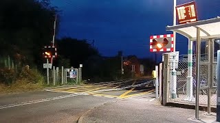 Appledore Level Crossing Kent [upl. by Dustie708]