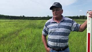 Teff Grass for Grazing A Farmers Perspective [upl. by Pascia]