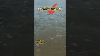 ESSE PAMPO É BRUTO😱pescaria fishing praia peixe pesca fish subscribe pescariaesportiva rn [upl. by Oiramad]