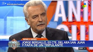 JBergallo padre del Subcomandante del ARA San Juan en quotAnimales sueltosquot de AFantino  271117 [upl. by Ahsehat]