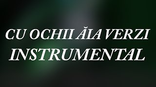 Lidia Buble  Cu ochii aia verzi  Instrumental [upl. by Mackler]