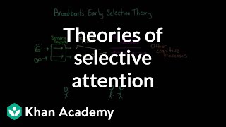 Theories of selective attention  Processing the Environment  MCAT  Khan Academy [upl. by Nileuqaj]