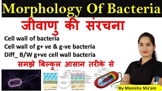 Pathogenicity vs Virulence in 2 mins [upl. by Anniahs]