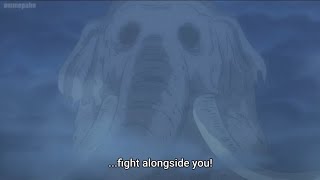 One piece episode 1068 • Zunisha talk to momo • [upl. by Hsur]