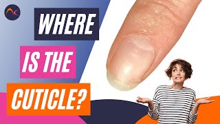 Where is the Cuticle  What you NEED TO KNOW if you want to understand the Nail Cuticle [upl. by Gennifer]