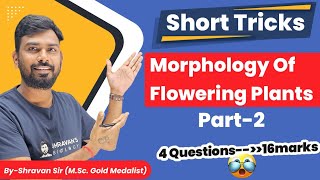 Easy tricks Morphology of Flowering Plants PART2  NEET Biology Inflorescence  Flower Families [upl. by Analad]