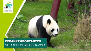 ADOPTANTEN BEDANKT  Adopteer een dier 🐼Bijlagen [upl. by Akiras638]