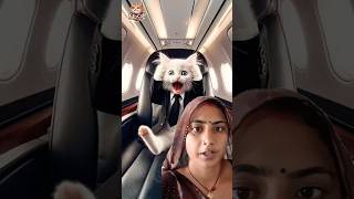 Chhotu cat ka plane crash Ho Gaya cat cute flyingcat [upl. by Litnahs777]