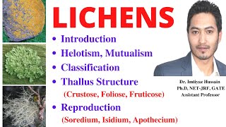 Lichen Planus Symptoms and Treatment [upl. by Cressy514]