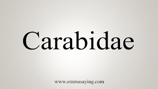 How To Say Carabidae [upl. by Sivrep]