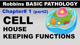 Chp1 part2 Robbins Basic Patho  Cellular Housekeeping  Cell as a unit of Health and Disease [upl. by Ahsenak]