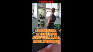 LA MIA SPLIT IN PALESTRA  5 GIORNI  MULTIFREQUENZA  Shorts [upl. by Agnesse]