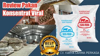 Review Pakan Konsentrat SFeed Varian Terbaru Terbukti Sebagai Pakan Pemulihan PMK [upl. by Teagan48]