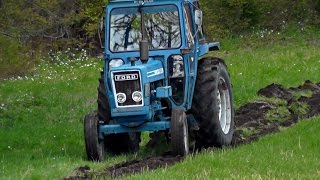 Ford 5600 Plowing A Field [upl. by Aihsemek]