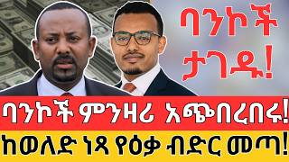 አጭበርባሪዎቹ 12 ባንኮች  ከወለድ ነጻ የዕቃ ብድር  Forex LLC Custom and Interestless LOAN Opportunity [upl. by Daggett]