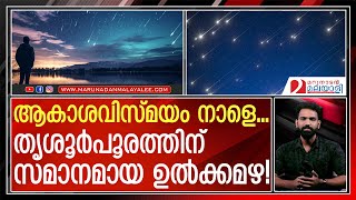 ആകാശവിസ്മയം കാണാൻ ഈ സമയം പുറത്തിറങ്ങുക  Perseid meteor shower 2023 [upl. by Anstice]