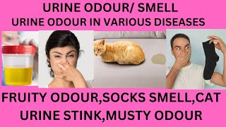 URINE ODOURURINE SMELLFRUITY URINE SMELLMUSTY SMELL URINEMOUSE PEE SMELLCAT URINE SMELL [upl. by Desdamona]