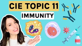 Immunity antibodies amp vaccines  Topic 11 ENTIRE TOPIC CIE [upl. by Dnalwor]